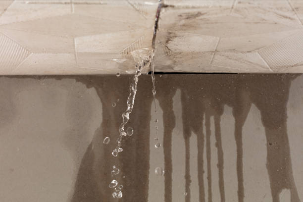 Professional Water Damage Inspection technician working in Manawa, WI